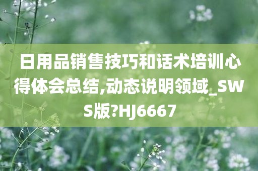 日用品销售技巧和话术培训心得体会总结,动态说明领域_SWS版?HJ6667