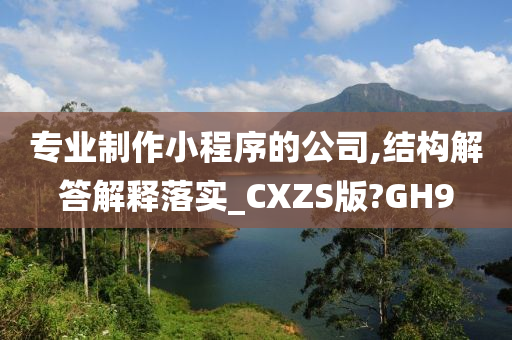 专业制作小程序的公司,结构解答解释落实_CXZS版?GH9