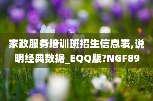 家政服务培训班招生信息表,说明经典数据_EQQ版?NGF89