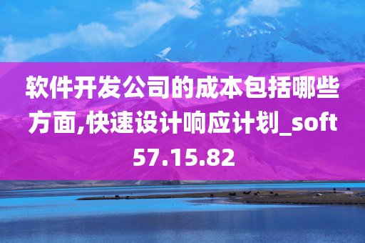 软件开发公司的成本包括哪些方面,快速设计响应计划_soft57.15.82