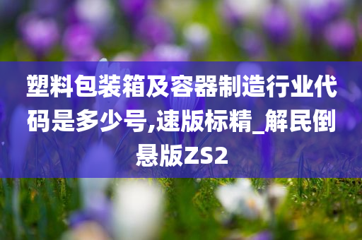 塑料包装箱及容器制造行业代码是多少号,速版标精_解民倒悬版ZS2