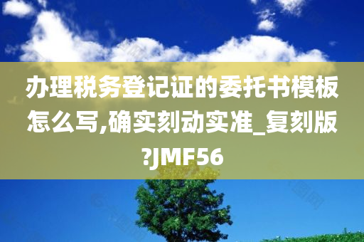 办理税务登记证的委托书模板怎么写,确实刻动实准_复刻版?JMF56