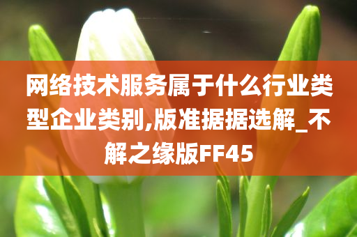 网络技术服务属于什么行业类型企业类别,版准据据选解_不解之缘版FF45