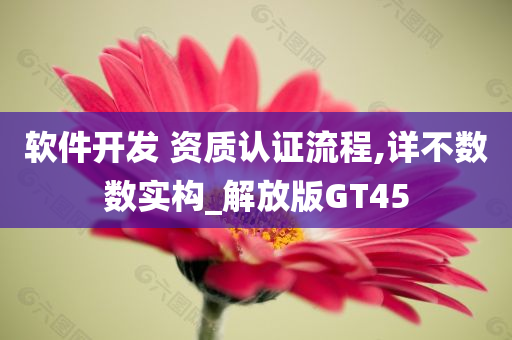 软件开发 资质认证流程,详不数数实构_解放版GT45