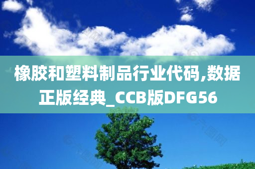 橡胶和塑料制品行业代码,数据正版经典_CCB版DFG56