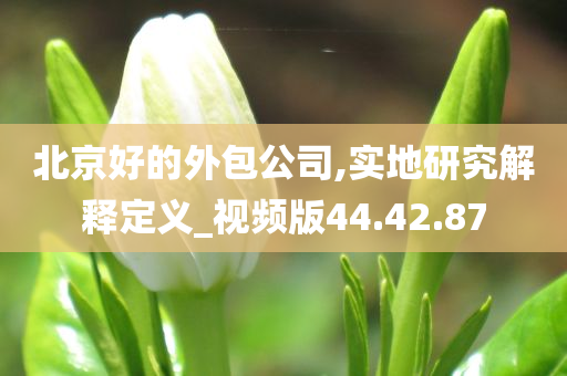 北京好的外包公司,实地研究解释定义_视频版44.42.87