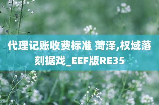 代理记账收费标准 菏泽,权域落刻据戏_EEF版RE35