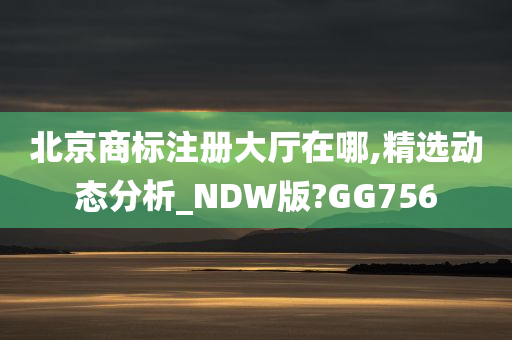 北京商标注册大厅在哪,精选动态分析_NDW版?GG756