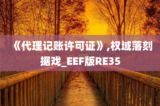 《代理记账许可证》,权域落刻据戏_EEF版RE35