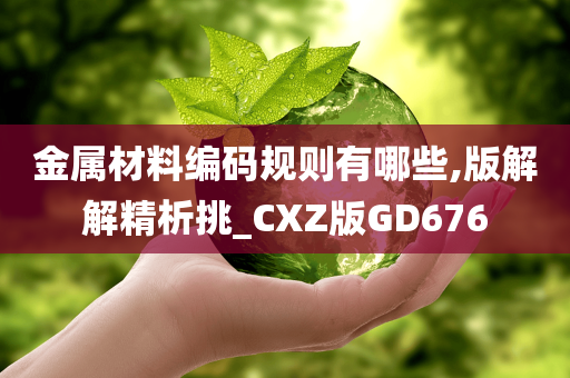 金属材料编码规则有哪些,版解解精析挑_CXZ版GD676