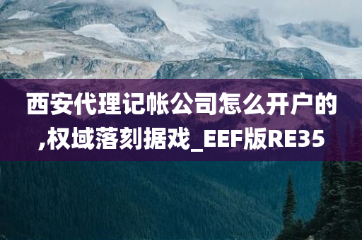 西安代理记帐公司怎么开户的,权域落刻据戏_EEF版RE35