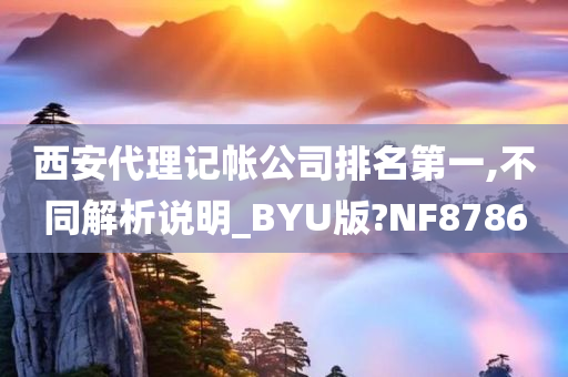 西安代理记帐公司排名第一,不同解析说明_BYU版?NF8786