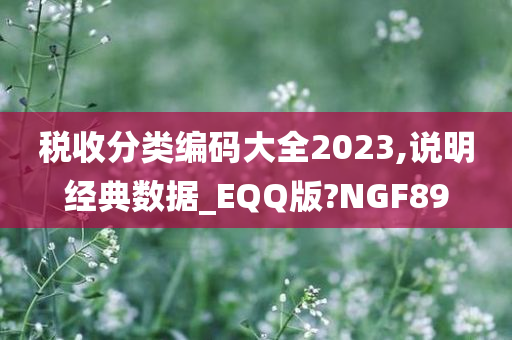 税收分类编码大全2023,说明经典数据_EQQ版?NGF89