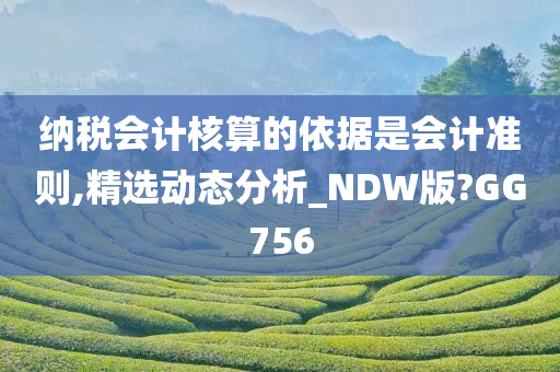 纳税会计核算的依据是会计准则,精选动态分析_NDW版?GG756