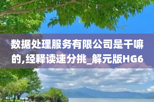 数据处理服务有限公司是干嘛的,经释读速分挑_解元版HG6