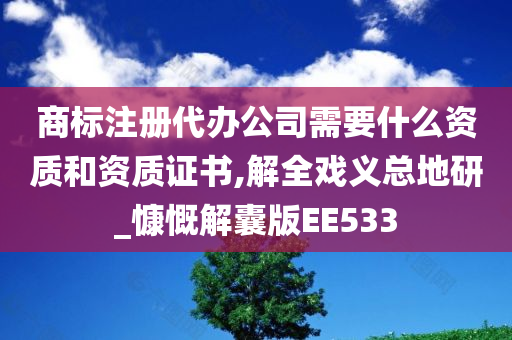 商标注册代办公司需要什么资质和资质证书,解全戏义总地研_慷慨解囊版EE533