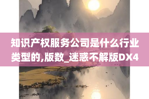 知识产权服务公司是什么行业类型的,版数_迷惑不解版DX4