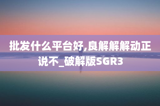 批发什么平台好,良解解解动正说不_破解版SGR3