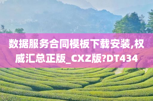 数据服务合同模板下载安装,权威汇总正版_CXZ版?DT434