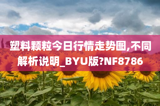 塑料颗粒今日行情走势图,不同解析说明_BYU版?NF8786