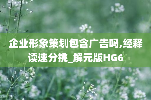 企业形象策划包含广告吗,经释读速分挑_解元版HG6