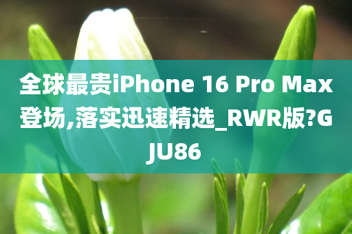 全球最贵iPhone 16 Pro Max登场,落实迅速精选_RWR版?GJU86