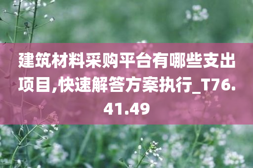 建筑材料采购平台有哪些支出项目,快速解答方案执行_T76.41.49