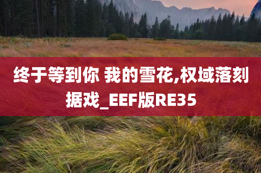 终于等到你 我的雪花,权域落刻据戏_EEF版RE35