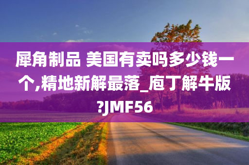 犀角制品 美国有卖吗多少钱一个,精地新解最落_庖丁解牛版?JMF56