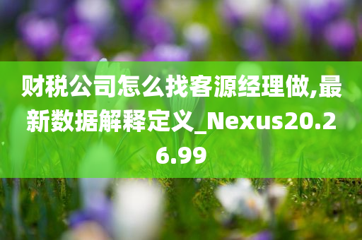 财税公司怎么找客源经理做,最新数据解释定义_Nexus20.26.99