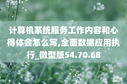 计算机系统服务工作内容和心得体会怎么写,全面数据应用执行_微型版54.70.68