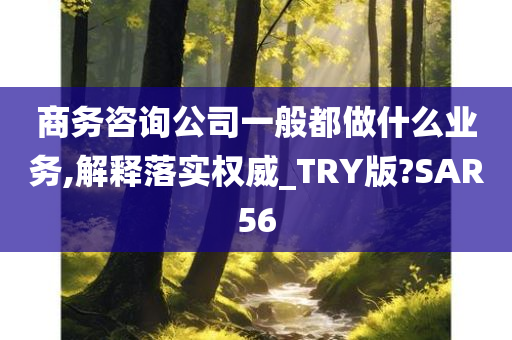 商务咨询公司一般都做什么业务,解释落实权威_TRY版?SAR56