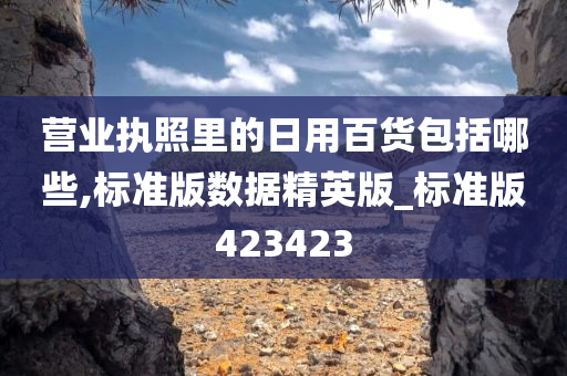 营业执照里的日用百货包括哪些,标准版数据精英版_标准版423423