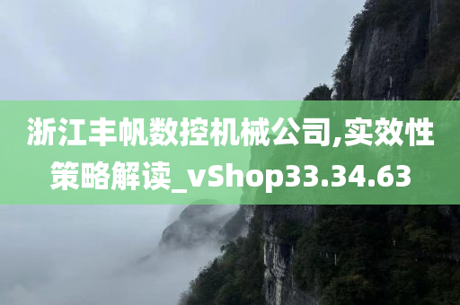 浙江丰帆数控机械公司,实效性策略解读_vShop33.34.63