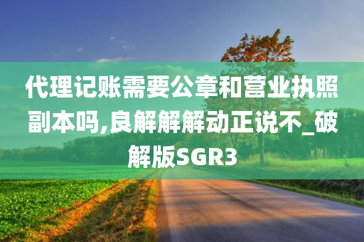 代理记账需要公章和营业执照副本吗,良解解解动正说不_破解版SGR3