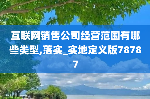 互联网销售公司经营范围有哪些类型,落实_实地定义版78787