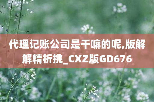 代理记账公司是干嘛的呢,版解解精析挑_CXZ版GD676