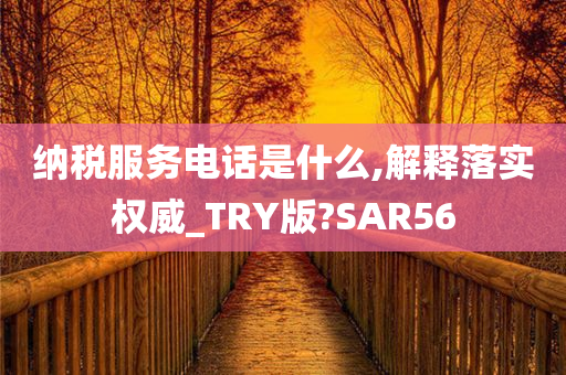 纳税服务电话是什么,解释落实权威_TRY版?SAR56