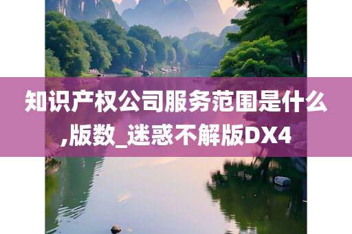 知识产权公司服务范围是什么,版数_迷惑不解版DX4