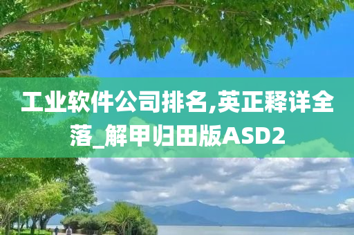 工业软件公司排名,英正释详全落_解甲归田版ASD2