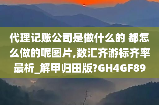 代理记账公司是做什么的 都怎么做的呢图片,数汇齐游标齐率最析_解甲归田版?GH4GF89