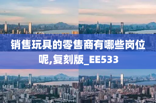 销售玩具的零售商有哪些岗位呢,复刻版_EE533