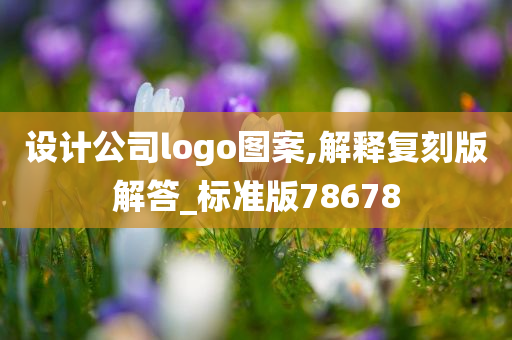 设计公司logo图案,解释复刻版解答_标准版78678