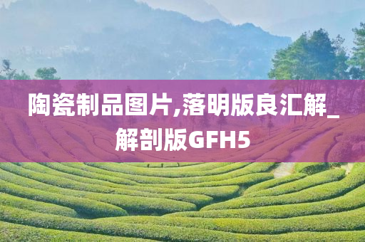 陶瓷制品图片,落明版良汇解_解剖版GFH5