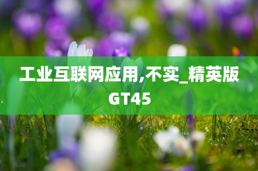 工业互联网应用,不实_精英版GT45