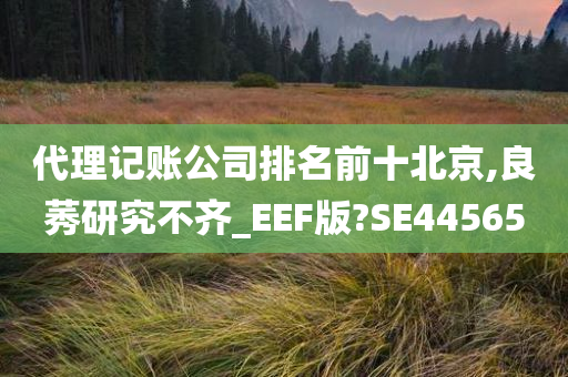 代理记账公司排名前十北京,良莠研究不齐_EEF版?SE44565