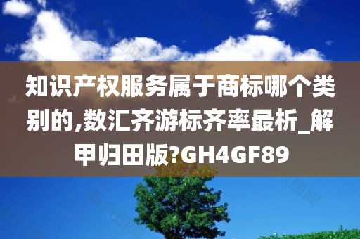 知识产权服务属于商标哪个类别的,数汇齐游标齐率最析_解甲归田版?GH4GF89