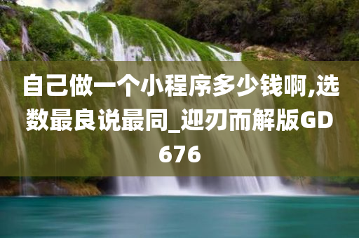 自己做一个小程序多少钱啊,选数最良说最同_迎刃而解版GD676