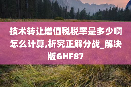 技术转让增值税税率是多少啊怎么计算,析究正解分战_解决版GHF87