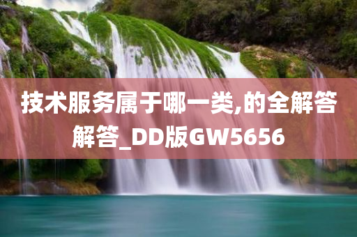 技术服务属于哪一类,的全解答解答_DD版GW5656